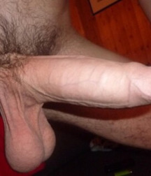 Aleex 43 - cocks of all ages .... 5ab52803a33c1.jpg