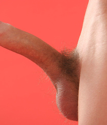 Aleex 49 5ab66b0397944.jpg