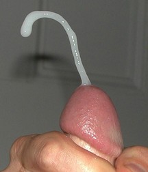 Aleex - Cum Boys 5ac1f36ff32e5.jpg