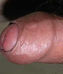 fun pics 5aa86eaf4f720.jpg