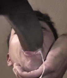 fun pics 5aa86eb70a217.gif