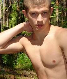 Diamond in the forest 5c4fd497af93d.jpg