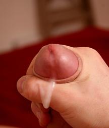 Knut 5c513fea11476.jpg