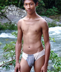 Torito 5c8c8988307be.jpg