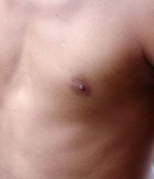 Torito 5c8c898cb5527.jpg