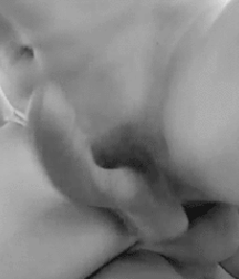 Random GIFs
