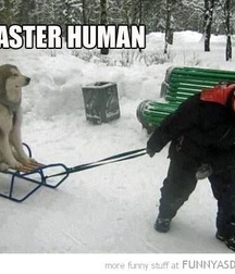 Fun Stuff 5ab057bc49f4a.jpg