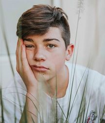 Joey Birlem 5b207b20f2ce6.jpg