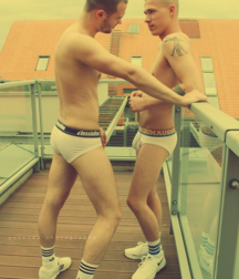 cockyboys for oldddadies3 5ae70a4fb87a0.png