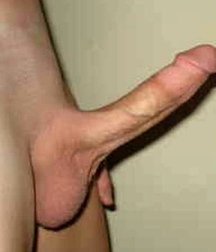 YOUNG DICKS
