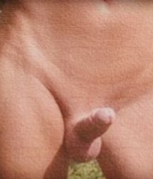 Uploaded by:Voyager 5ba35f97975dc.jpg
