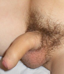 Culture Pubes 5ba8a608d78a8.jpg