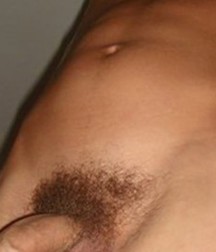 Culture Pubes 5ba8a81207a93.jpg