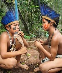 Colorful boys 5bf41843a73a4.jpg