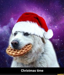 all the Christmas, Christmas for all 5c18e74a2a3f9.jpg