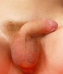sweet boys 5c7963b08e5b3.jpg