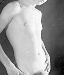 Dreamboys 5d60649ed4e5f.jpg