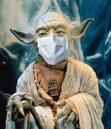 The year of the masks