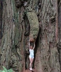 Boys, penis and fantasy 5e9c7b7d9960f.jpg