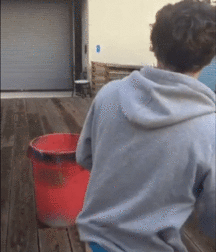My images of the day 5ecfa0c2e1c7d.gif