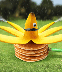 The secret life of bananas 5f458f683a7b0.gif