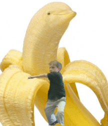 The secret life of bananas 5f458fa659445.gif