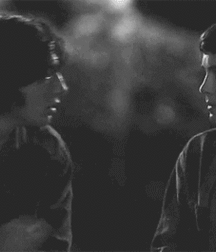 Beauty, humor, tenderness, love, kisses ... 5f508c9ce9220.gif