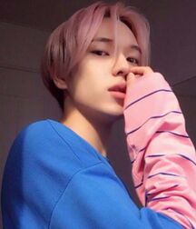 The sunlight zone gay tube 5f51d17c6f94a.jpg