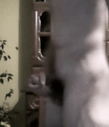 Cute boys porn and nice boners 5f589e73db30b.gif