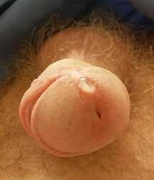 The origin of man revealed boys porn 5f7062406d036.jpg