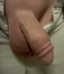 Cute boys porn and nice peckers 5f8b691a470bf.jpg