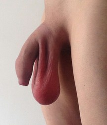 Cocks Galore 1 5add3513d6d74.jpg