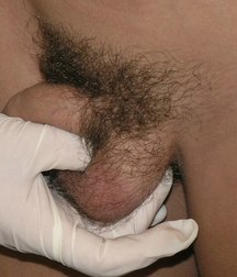 члены  без  лица  1 5b62c5b166c43.jpg