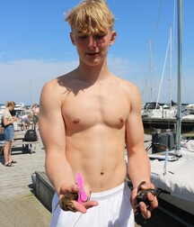 pecs & abs shirtless twink tube more 617476b08266b.jpg