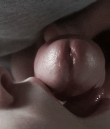 Album 27 5b972799adf89.png