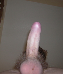 DICKS LOVE (grande collection) 5b08960ed247c.jpg