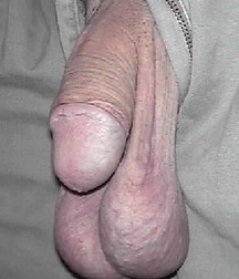 hot 3 5b0c1ceba3c2a.jpg