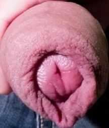very hot 2 5b0ff7c022d68.jpg