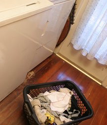 Kelly Cooper Laundry Piss 5b74419cc92b2.jpg