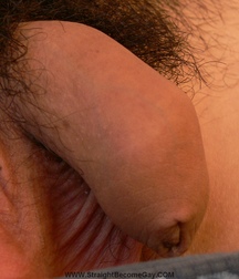 Arian 5b840f720c9a2.jpg