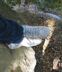 Bucky Dirty Feet 5be0714297af4.jpg