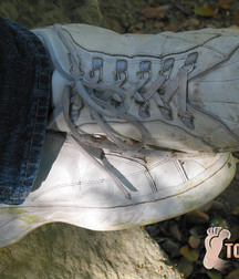 Bucky Dirty Feet 5be07144d03ba.jpg