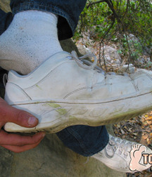 Bucky Dirty Feet 5be0714f4692c.jpg
