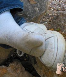 Bucky Dirty Feet 5be0717f98a84.jpg