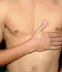 JT Solo Muscle Set 1 5c055ddde5a9e.jpg