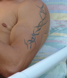 JT Solo Muscle Set 3 5c056177cdd88.jpg