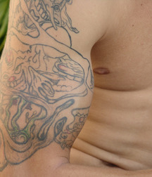 JT Solo Muscle Set 3 5c056180336c3.jpg