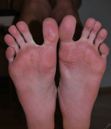 Spike 5c05684324695.jpg