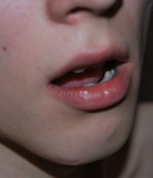 Spike 5c05685a471b0.jpg