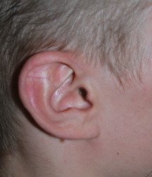 Spike 5c05685cce9fc.jpg